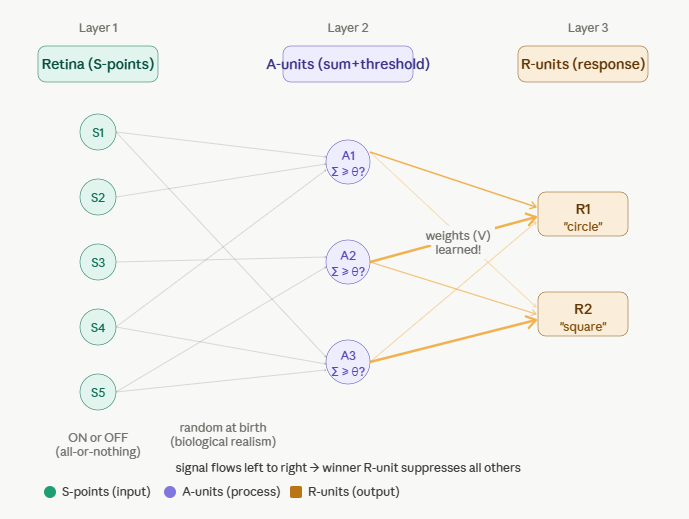 Perceptron architecture